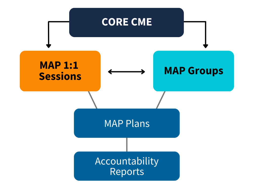 PLUS Program Process Diagram